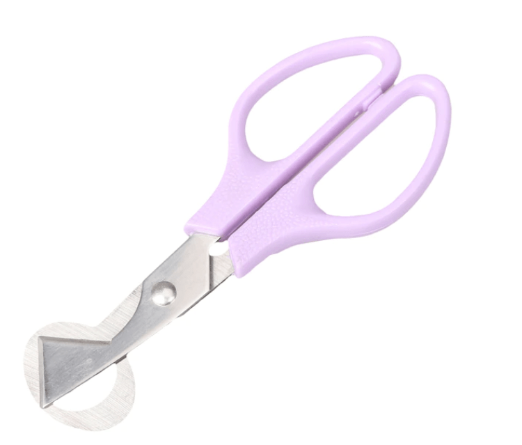 Quail Egg Scissors - chefsanddogs