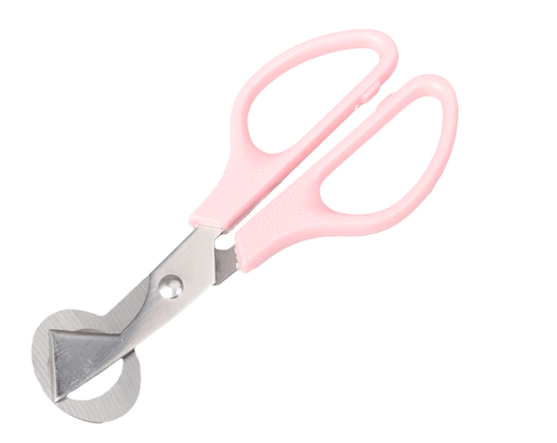 Quail Egg Scissors - chefsanddogs