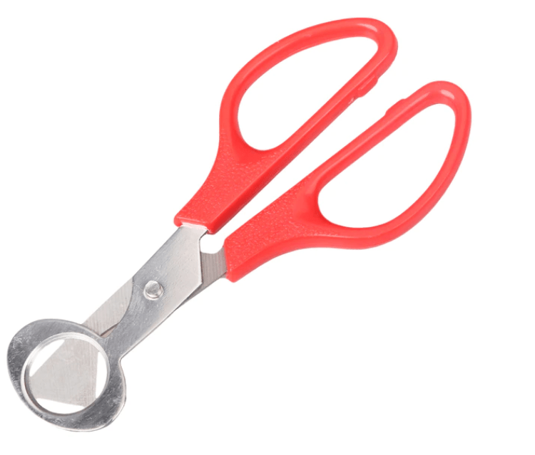 Quail Egg Scissors - chefsanddogs