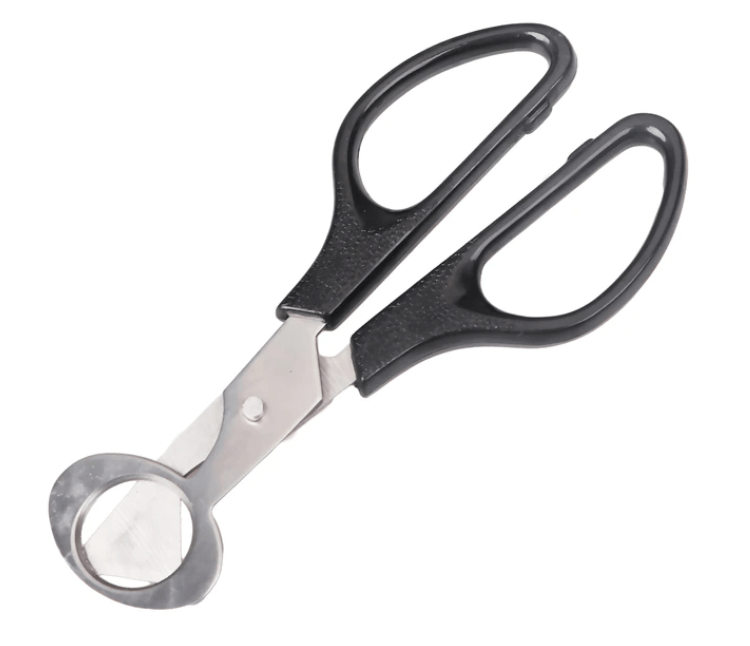 Quail Egg Scissors - chefsanddogs