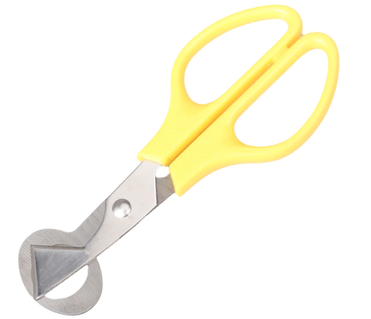 Quail Egg Scissors - chefsanddogs