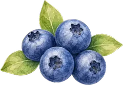 Blueberries