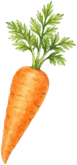 A whole carrot