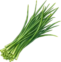 Chives
