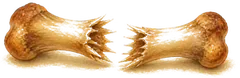 Cooked bones