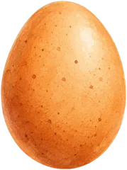 Egg