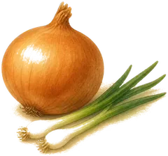 Onion