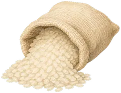 White rice