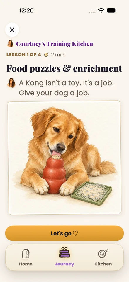 The app's Courtney's Training Kitchen class, lesson 1 of 4, Food puzzles and enrichment: Courtney's line, A Kong isn't a toy. It's a job. Give your dog a job, over a painting of a golden retriever licking a red Kong, with a green lick mat beside it