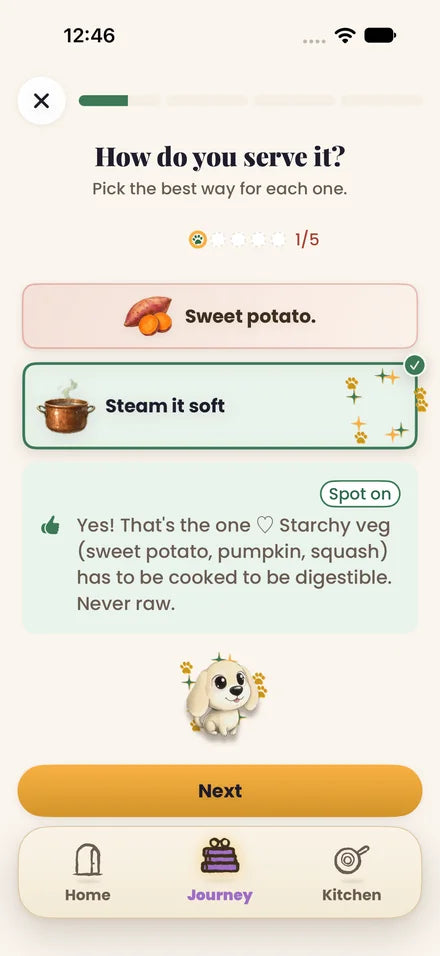 The app's cooking game, How do you serve it?, answered: for the sweet potato, Steam it soft is picked and ticked with sparkles, a Spot on note says starchy veg has to be cooked to be digestible, never raw, and Joey cheers above the Next button